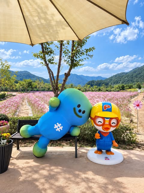 포천 한탄강 가든페스타 살펴보기 6