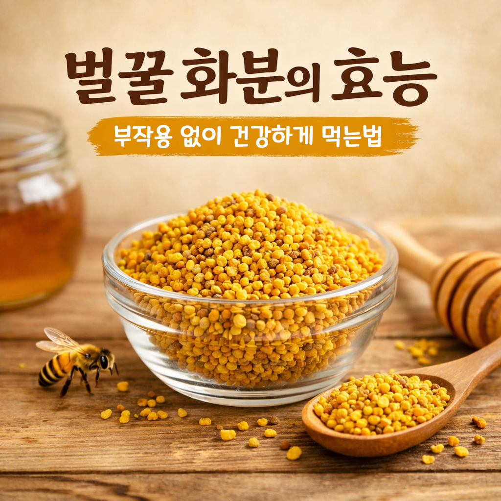 벌꿀 화분의 효능 부작용 없이 건강하게 먹는법