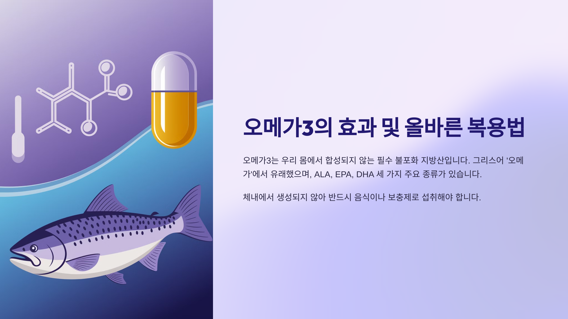 오메가3의 효과 및 올바른 복용법