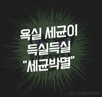 여름철 욕실 세균 곰팡이 청소 끝 관리법과 예방 팁 완벽 위생 가이드_13