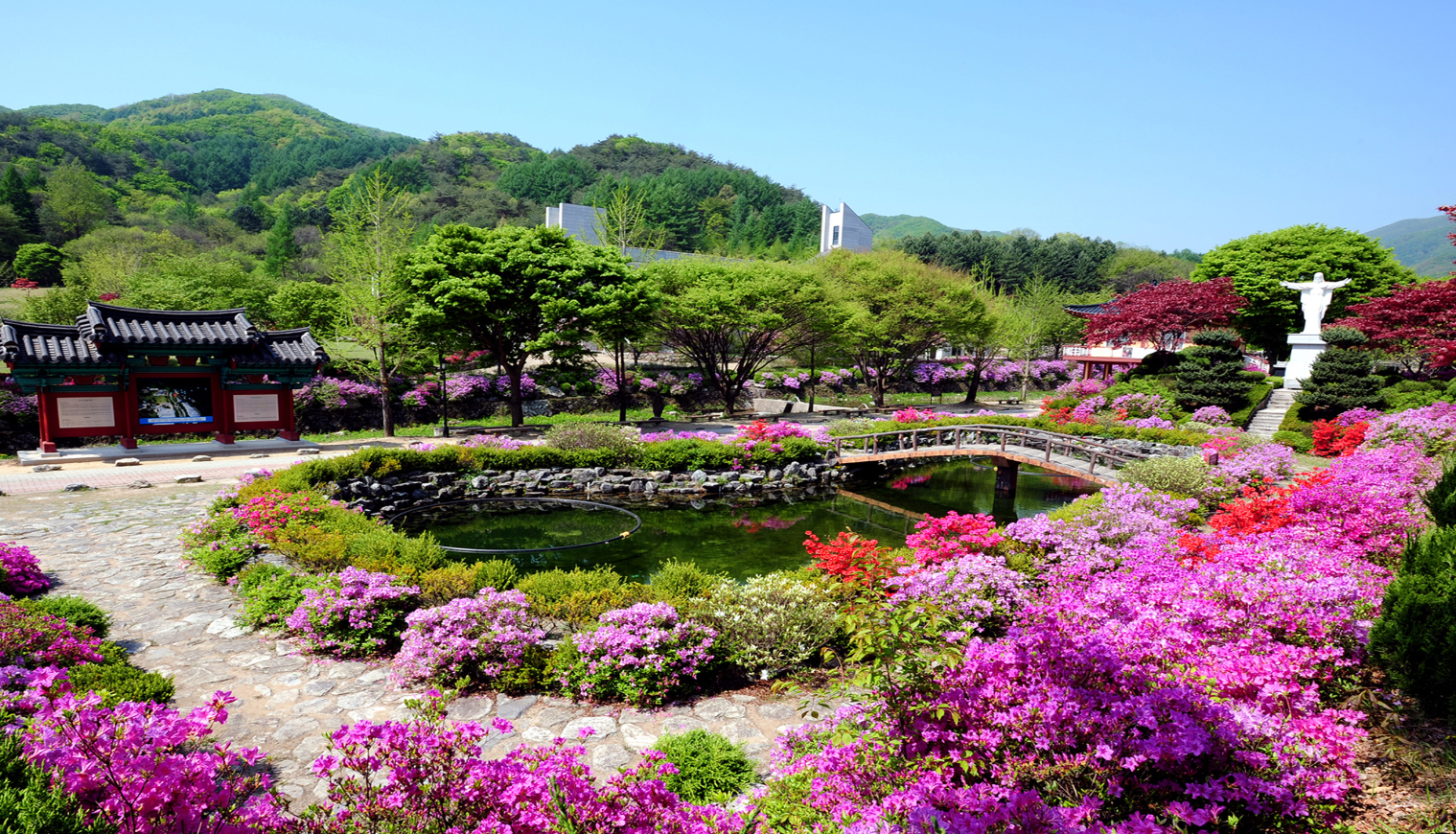 제천 가볼만한곳 베스트10