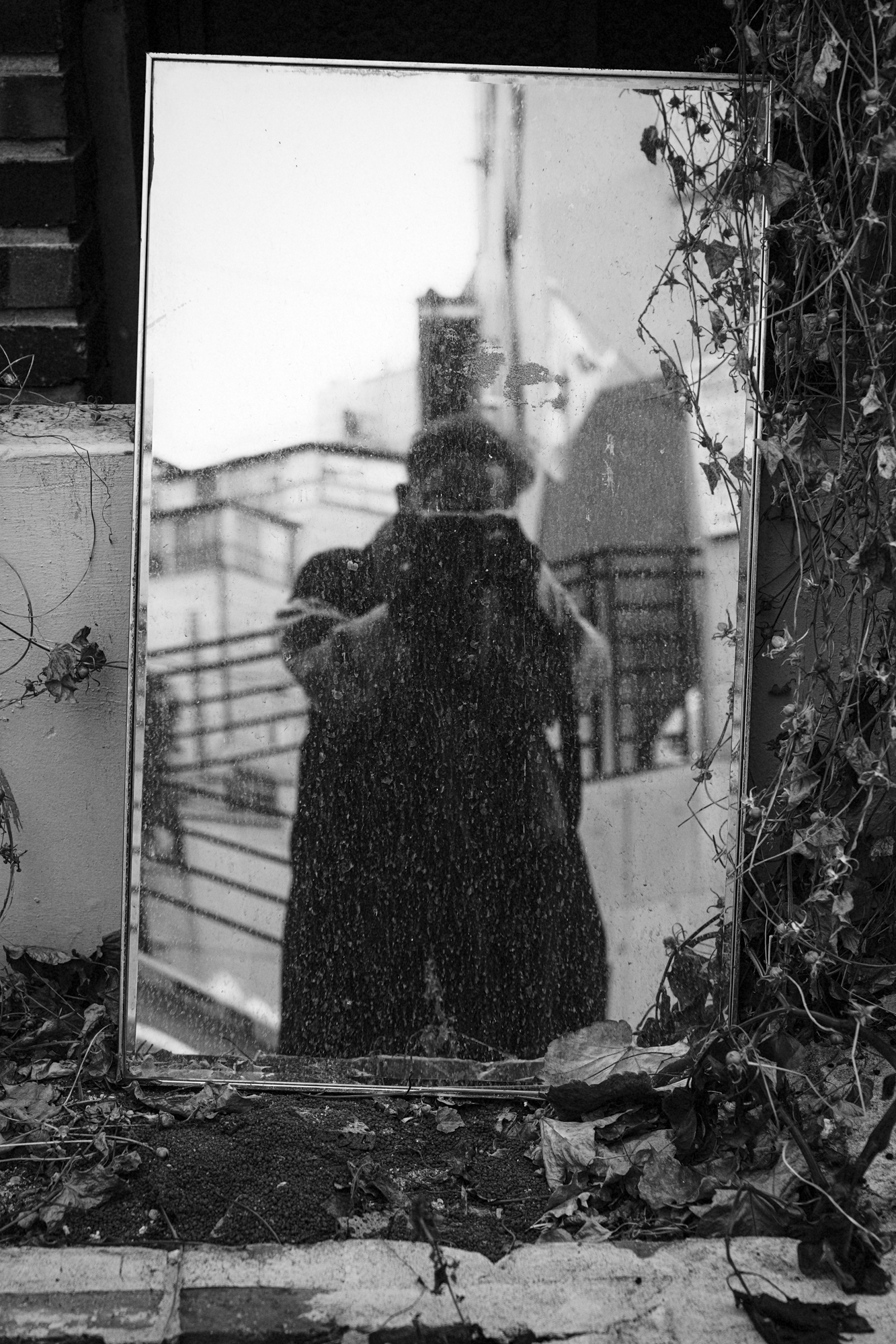 김중만 작가와 a1