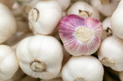 마늘이 면역력과 심혈관 건강에 미치는 영향