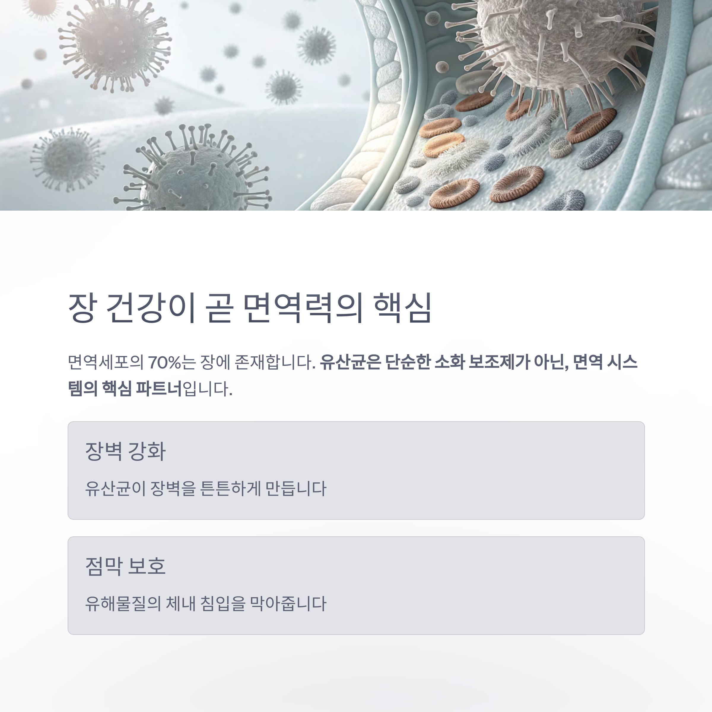 장 건강이 곧 면역력의 핵심