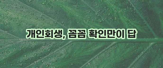 개인회생 신청 자격 조회 절차 기간 제도 의미까지 꼼꼼히 확인하세요!