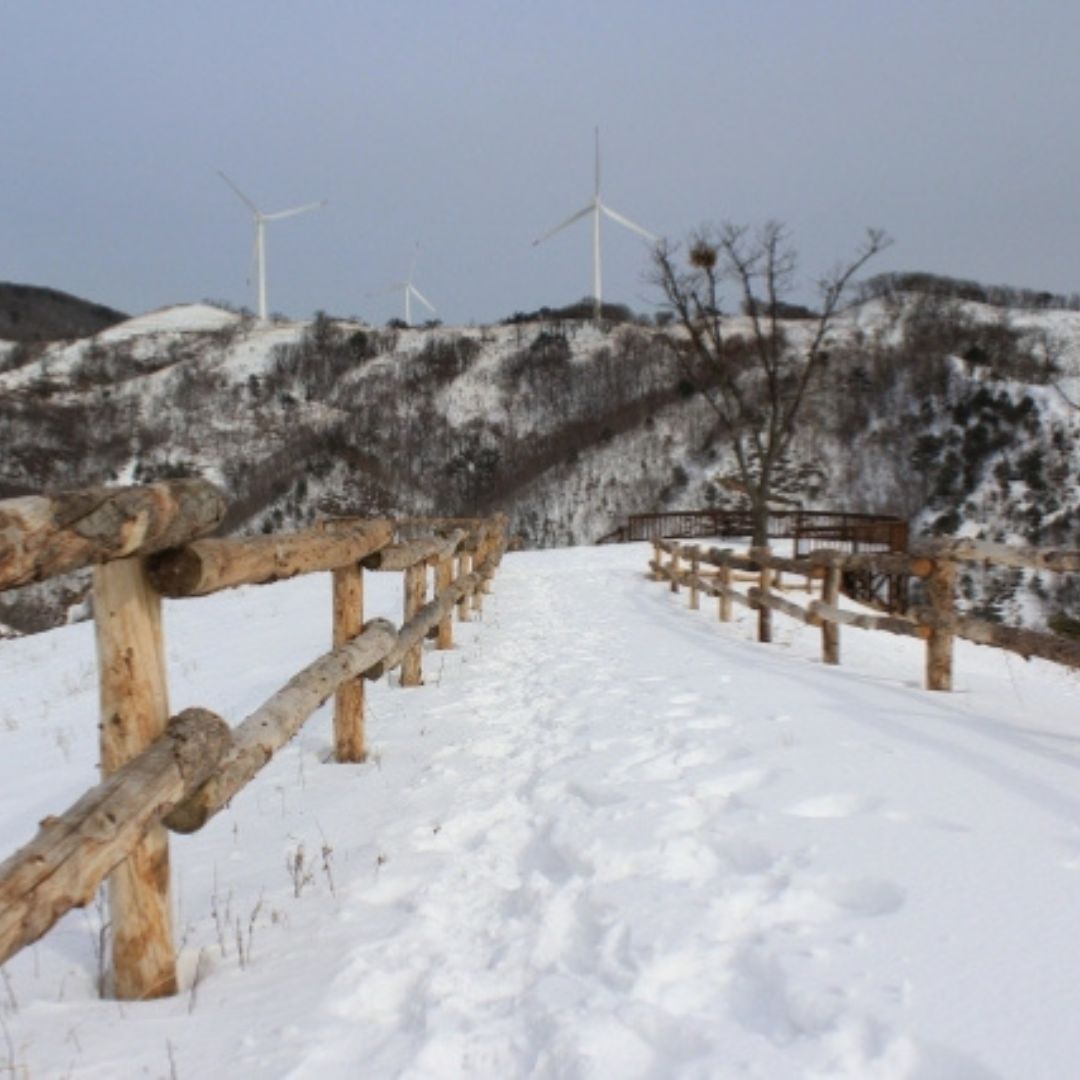 겨울에/꼭/가봐야/하는/여행지/강원도/평창