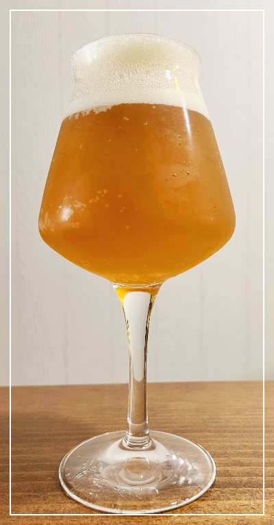 피에스타 맥시칸 라거