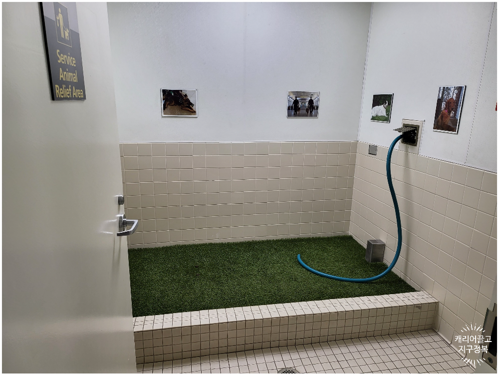 뉴욕 뉴왁공항 에어 프레미아 체크인 카운터 위치