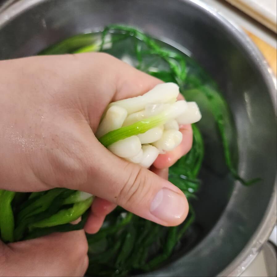 #쪽파오징어숙회 #쪽파무침 #쪽파강회 #쪽파 데치기 #쪽파데침 #쪽파숙지 #쪽파오징어말이 #쪽파오징어강회 #쪽파 초고추장 #쪽파 숙회 #쪽파 숙회만들기 #쪽파숙회 만드는법 달달하니 입맛없을 때 최고 #아빠표 초간단 쪽파말이 쪽파숙회 #살짝 데치기만 하면 맛있는 쪽파숙회 만들어 지지요 #쪽파 말이 파말이 파강회 파숙회 게맛살 쪽파 말이