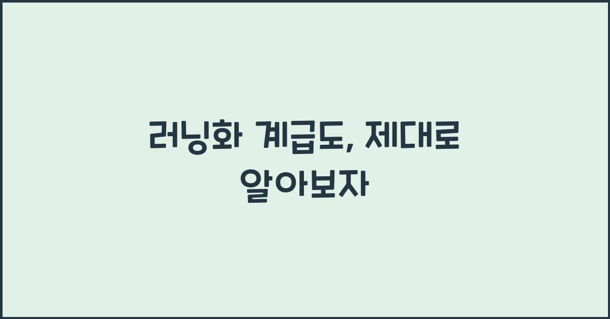 러닝화 계급도