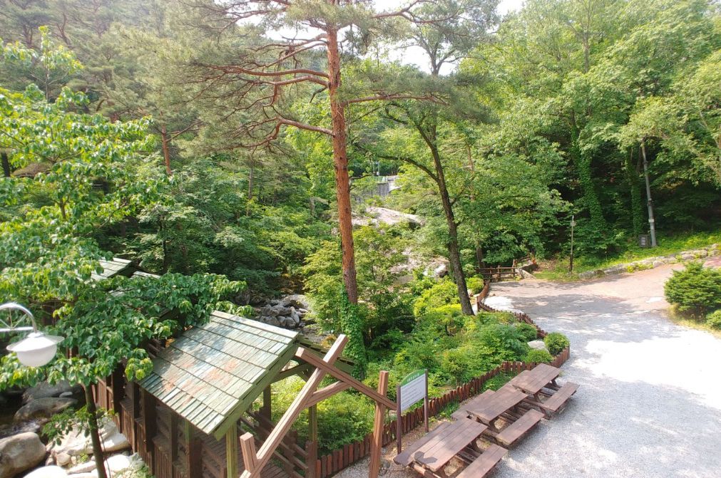 대관령자연휴양림