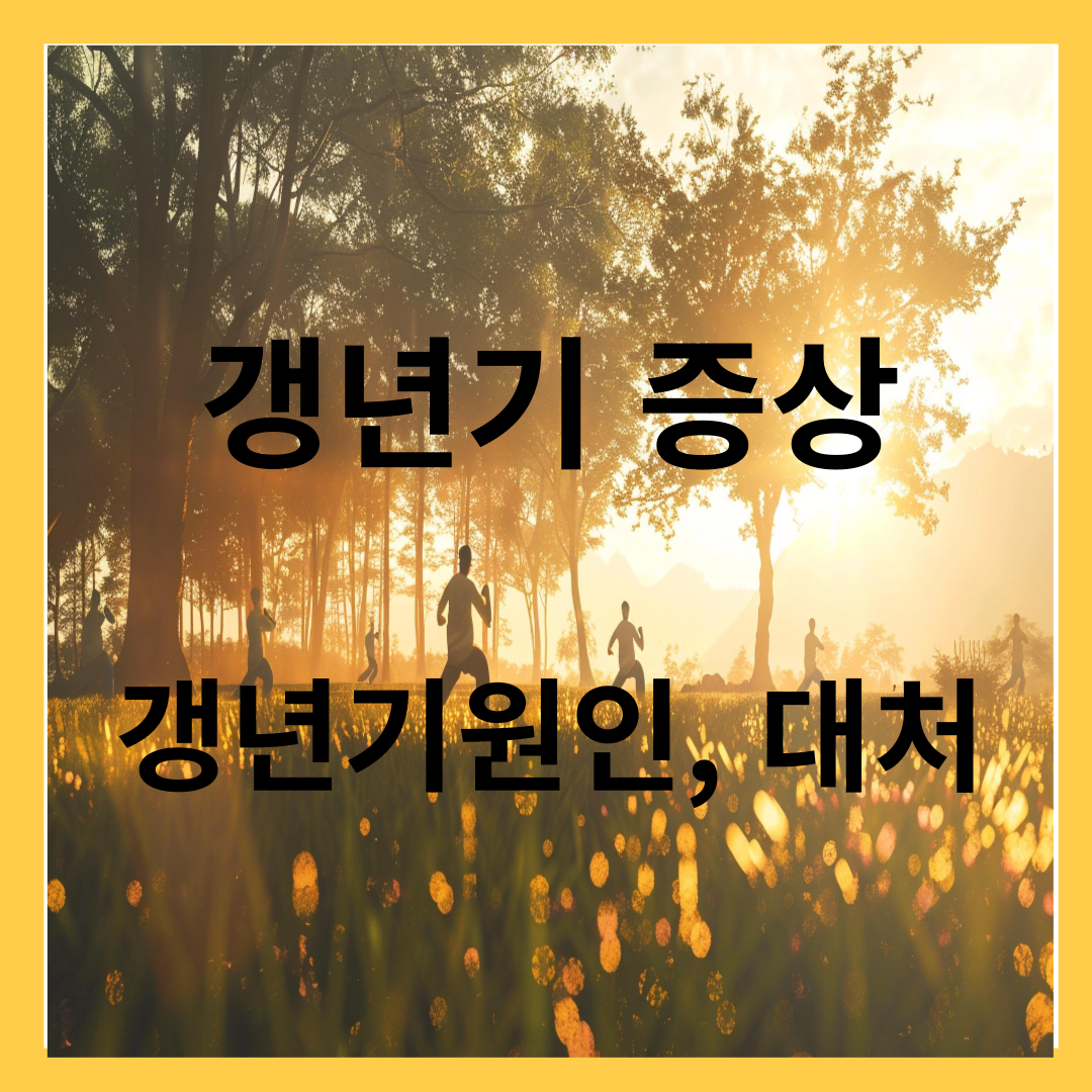 갱년기 증상 - 갱년기 원인, 대처