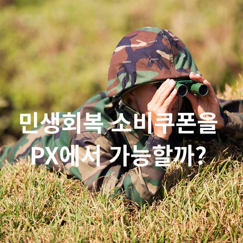 민생회복 소비쿠폰을 PX에서 가능할까?