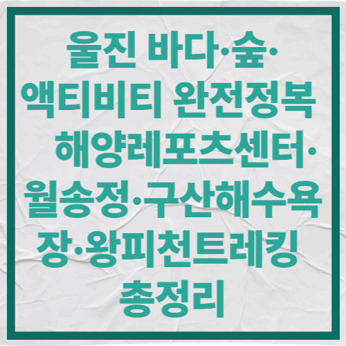 울진 바다·숲·액티비티 완전정복|해양레포츠센터·월송정·구산해수욕장·왕피천트레킹 총정리