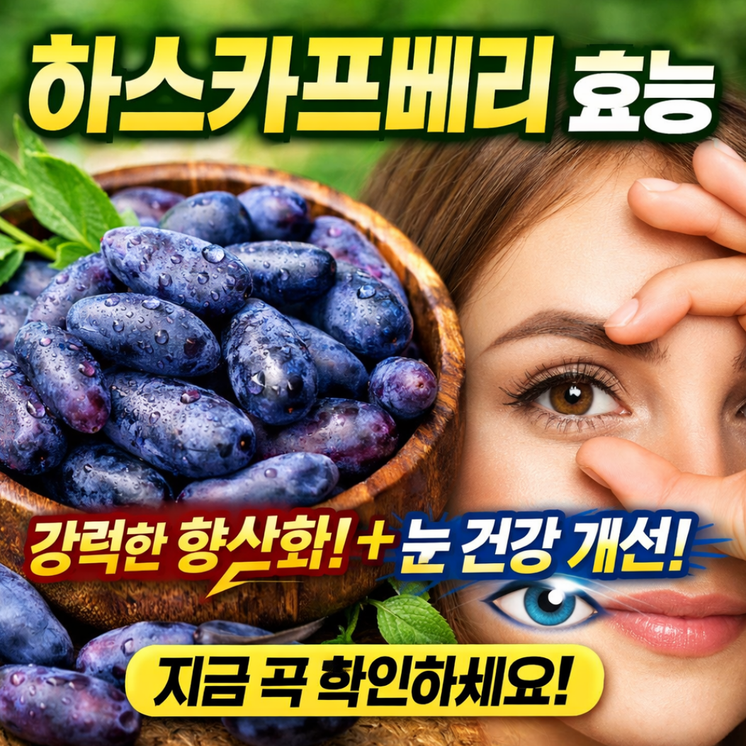 하스카프베리 효능