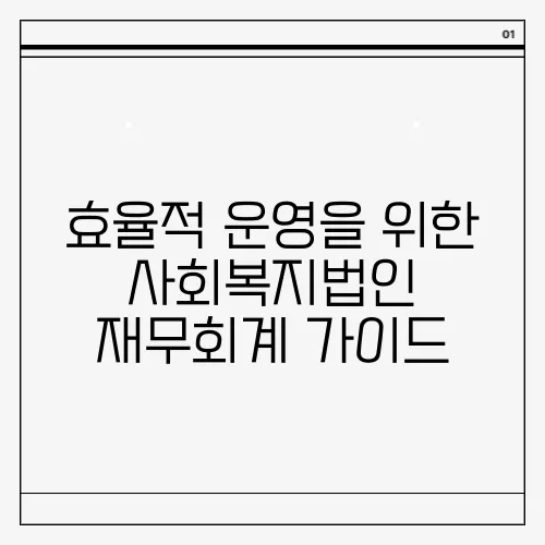 효율적 운영을 위한 사회복지법인 재무회계 가이드