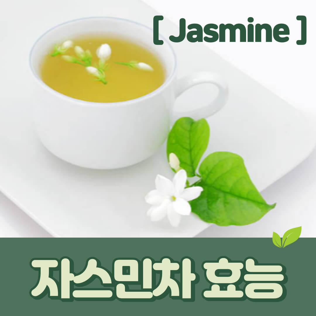 자스민차 효능