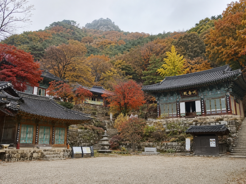 충남 청양 장곡사 천년고찰 경내와 단풍 풍경
