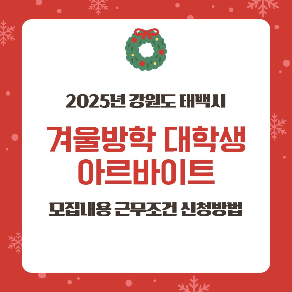 2025년/강원도/태백시/겨울방학/대학생/아르바이트/모집