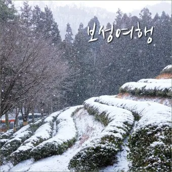 보성 가볼만한곳 베스트10 현지인 추천 필수코스_10