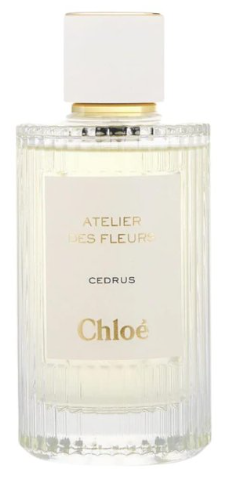 끌로에 : 아틀리에 데 플뢰르 세드러스