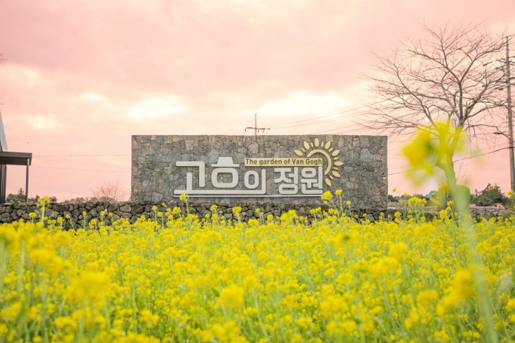 제주 여름 지금, 인기 여행지 입장권, 최저가 할인예약 방법 (할인코드) 제주도 관광지 여행코스 추천