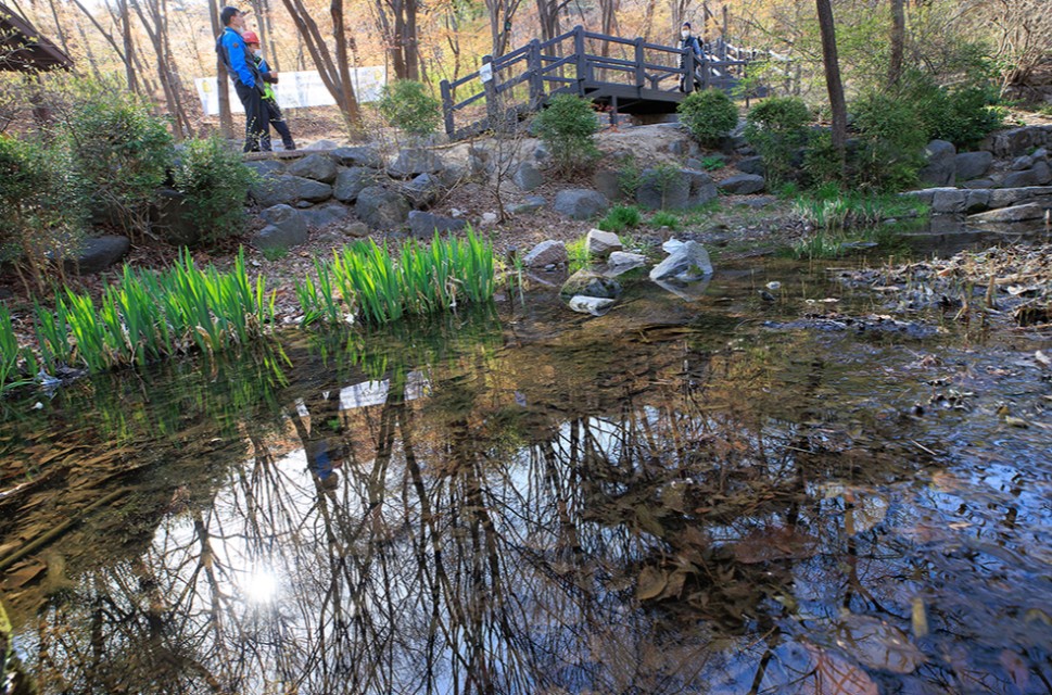 청와대 개방 예약 관람 신청 및 주차장 가는길