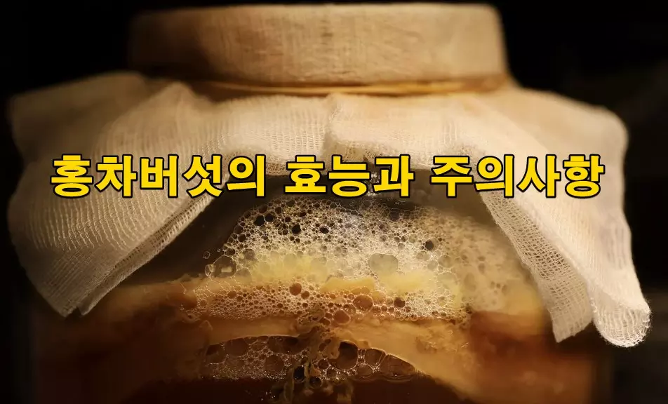 홍차버섯의 효능과 주의사항