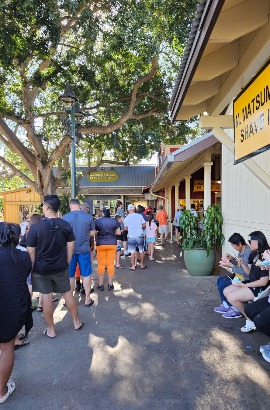 마츠모토 쉐이브 아이스 웨이팅