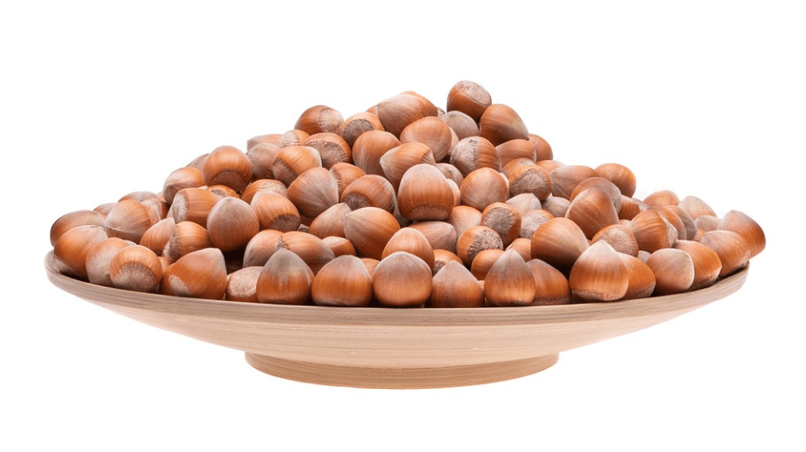 헤이즐넛 효능에서 헤이즐넛이 그릇에 담겨 있다