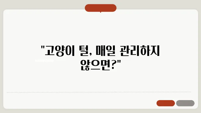 고양이 털 관리 매일해야하는 이유