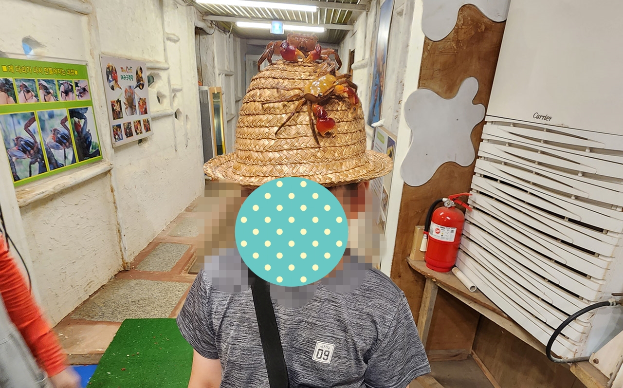 테라크랩팜 도둑게체험