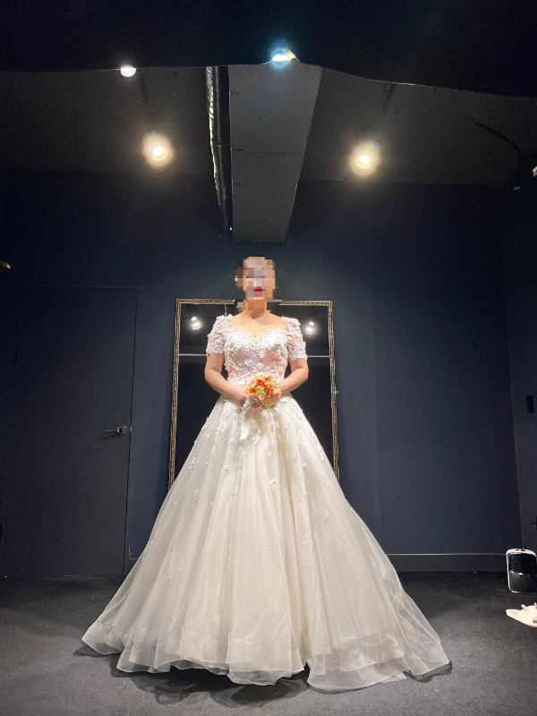 펠리스노비아-풍성