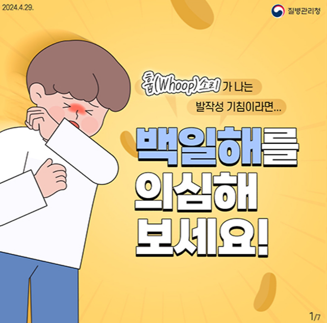 백일해 예방접종