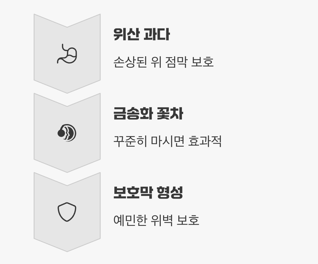 위 점막을 지키는 든든한 보호막