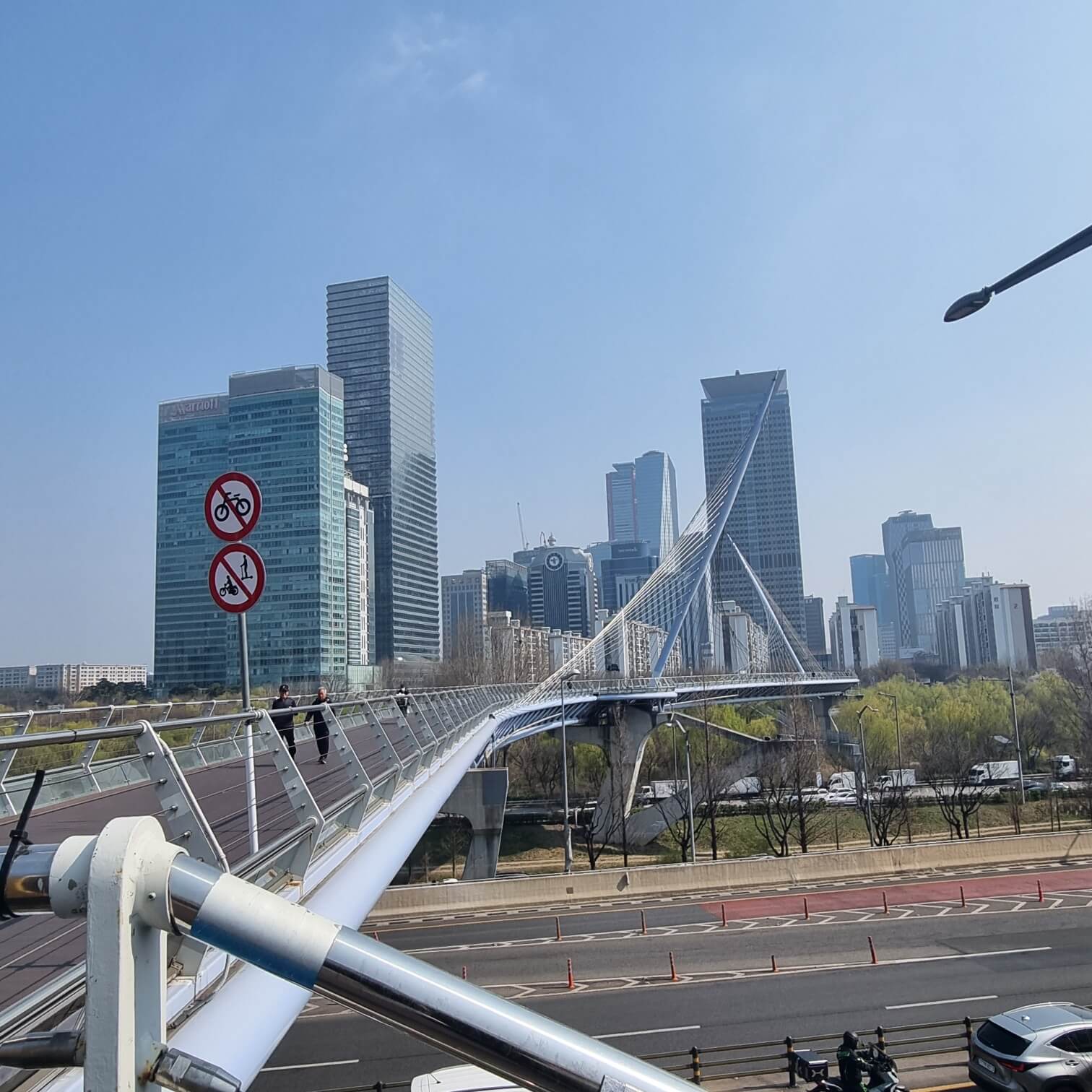 여의도 샛강 생태공원 여의도 벚꽃축제
