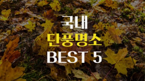 단풍명소
