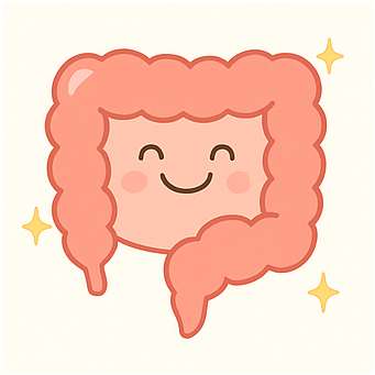 유산균과 식이섬유&amp;#44; 변비엔 이 조합이 정답입니다!