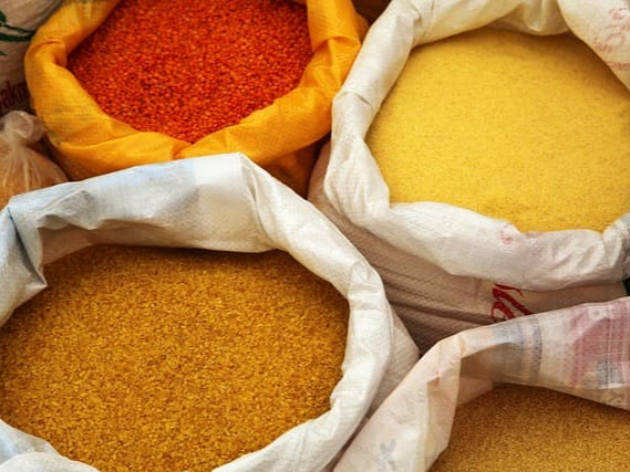 상황버섯쌀의 베타글루칸 항산화