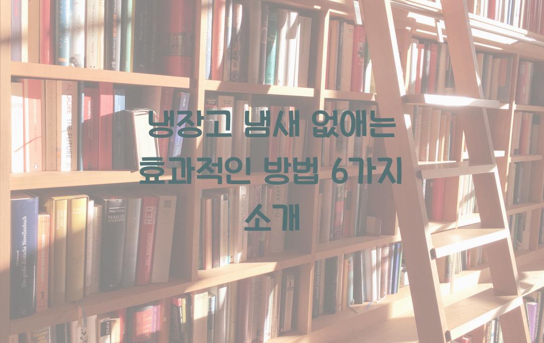 냉장고 냄새 없애는 효과적인 방법