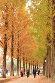 진주 가볼만한 곳 베스트 10