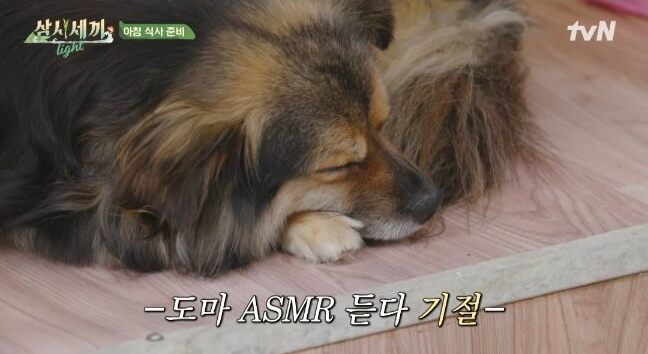 삼시세끼 임영웅 다시보기 방송시간_tvN출처