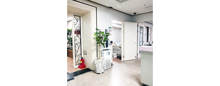 성남 분당구 요양원