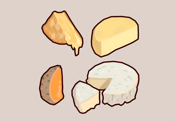 다양한-치즈-모습