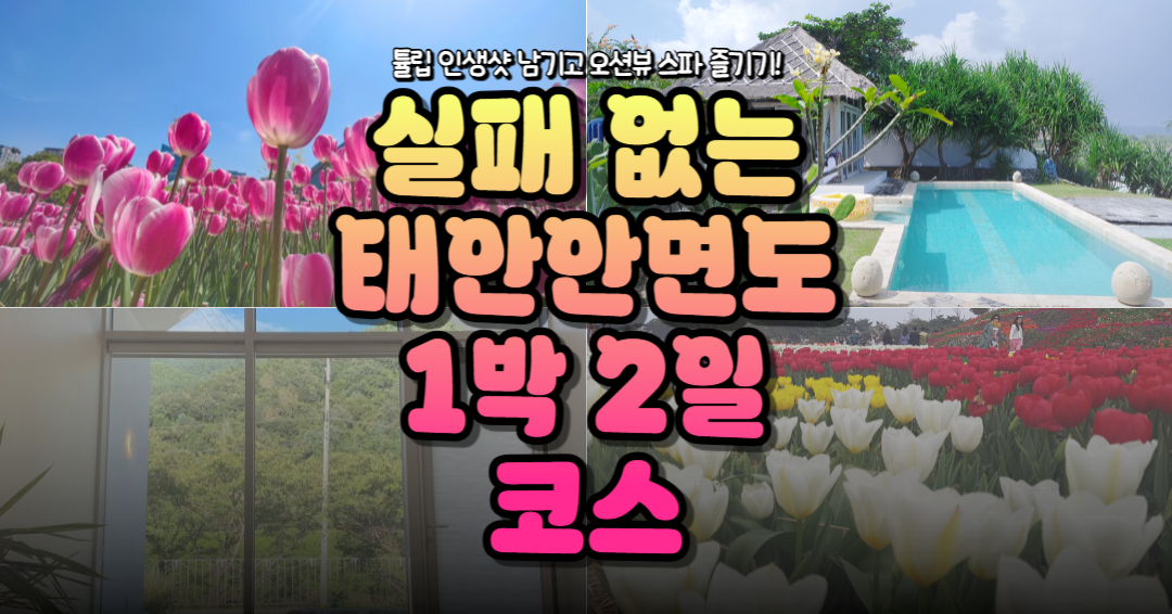 태안 세계튤립꽃축제 예매 할인과 아일랜드 리솜 및 오션뷰 풀빌라 추천을 담은 실패 없는 안면도 1박 2일 코스 썸네일
