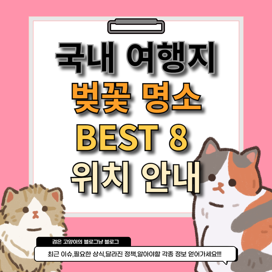 제목이 써있는 대표 이미지