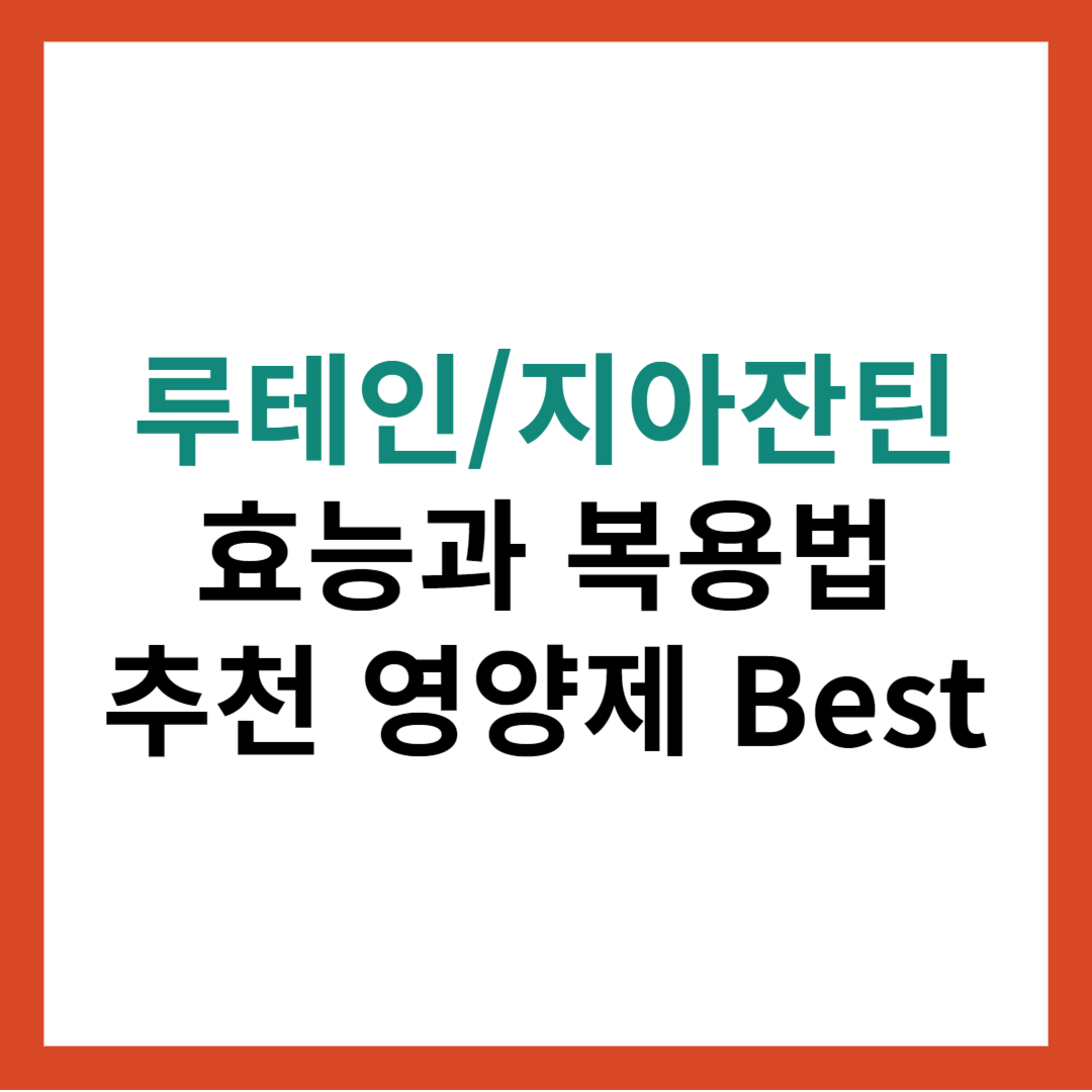 루테인 지아잔틴 효능과 추천 영양제! 눈 건강을 위한 필수 영양소 (추천 영양제 Best3)