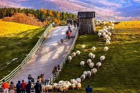 강원 여행의 달