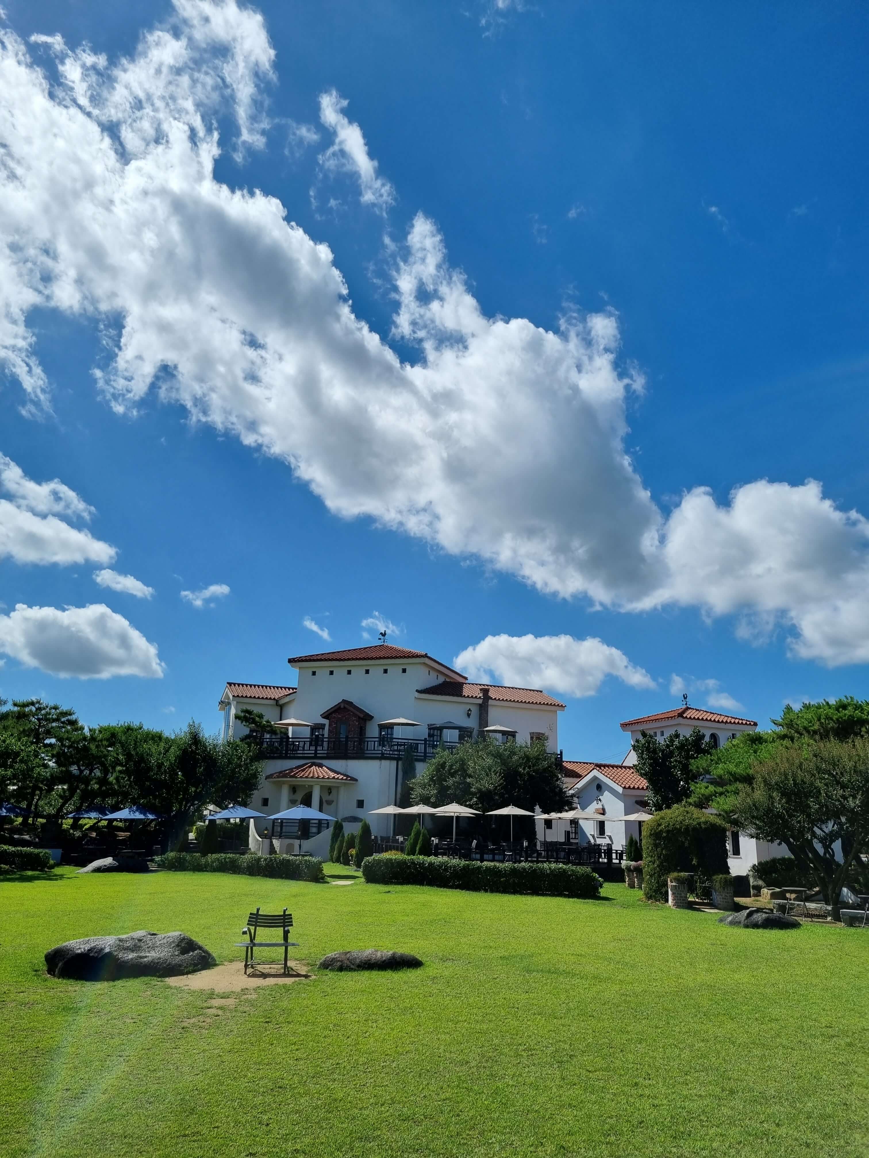 논산 맛집 리스트