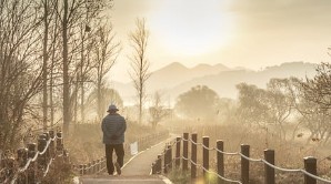 보청기 국가보조금지원